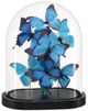 Currey & Company Rue de Bac Blue Medium Butterflies-0