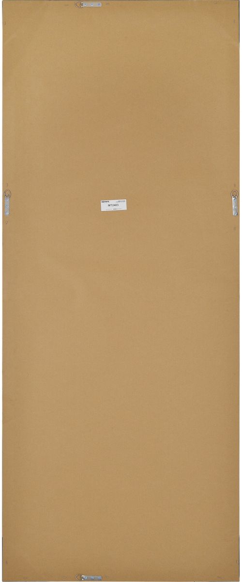 Renwil® Delacorte Black Foil Leaner Mirror-4