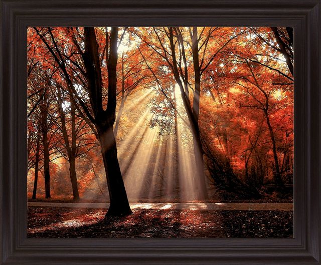 Classy Living Radiant Maple Glow Wall Art-0