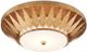 Currey & Company Floris New Gold Leaf Flush Mount Lighting-2