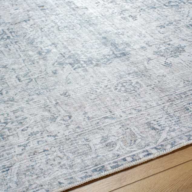 Surya Embrace Beige/Blue 4'x6' Area Rug-3