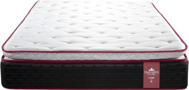 Springwall® True North Whistler Innerspring Plush Pillow Top Twin Mattress-2