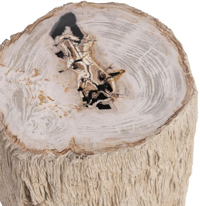 Classic Home Messi Coastal Birch End Table-4