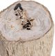 Classic Home Messi Coastal Birch End Table-4