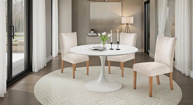 Nest Home Collections Sasha Anew/Gray Washed Dining Side Chair-1