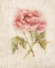 StyleCraft Light and Airy l Wall Art-1