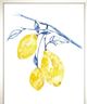 Classy Living Jennifer Goldberger Watercolor Lemons II Wall Art-1