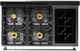Viking® Tuscany 48" Antique Bronze Pro Style Dual Fuel Range with 2 Induction-3