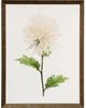 Stylecraft Light Green/White Framed Print-0