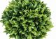 Monarch Specialties Inc. 3-Piece Taupe  5" Tall Artificial Potted Grass-1