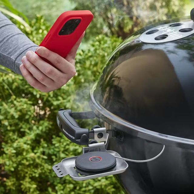 Weber® Smart Probe with Grate Sensor-1