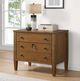 Elements International Portico Brown Oak File Cabinet-1