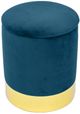 TOV Furniture Pri Navy Storage Ottoman-0