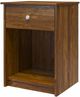 Ameriwood Home Ellwyn Bank Alder Nightstand with Drawer-1