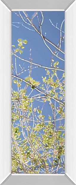 Classy Art Spring Poplars IV by Sharon Chandler Mirror Framed Wall Art-0