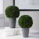 Uttermost® by Constance Lael-Linyard Cypress Globes 2-Piece Foliage-3