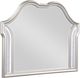 Coaster® Evangeline Silver Oak Dresser Mirror-0