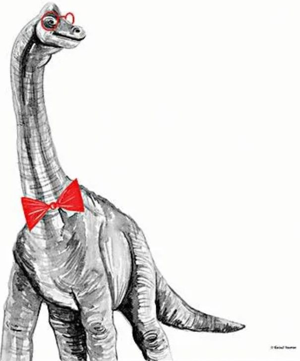 Classy Art Longneck in a Bow Tie by Rachel Nieman Wall Art-1