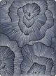Serta® perfectsleeper X™ Kendall 13" Hybrid Medium Smooth Top Full Mattress-5