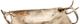 Giftcraft Antique Bronze Decorative Tray with Antler Handles-1