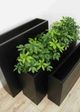 Le Present Betona Box Black 20" Planter-5