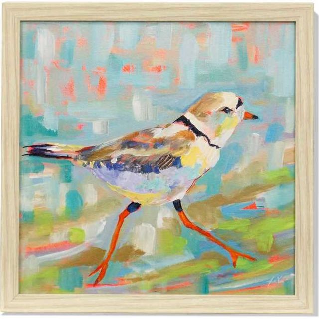 Stylecraft Coastal Plover II Multi-Colored Wall Art-0