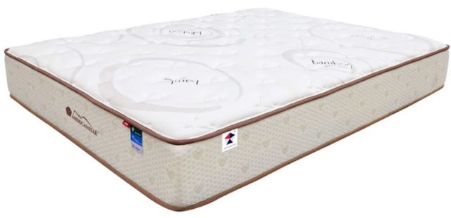Martin Furniture & Bedding Dylan Innerspring Firm Tight Top Twin Mattress-0