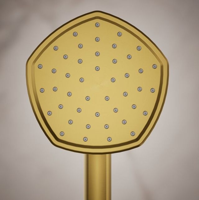 KOHLER® Occasion® Vibrant Brushed Moderne Brass 2.5 GPM Single-Function Handshower-2
