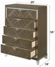 ACME Furniture Skylar Dark Champagne Chest-2