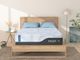 MLILY® Wellflex Ice 3.0 Memory Foam 14" Plush Tight Top Twin XL Mattress in a Box-1