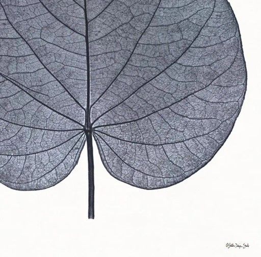 Classy Art Indigo Nature Study I by Stellar Design Studio Wall Art-1