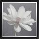 Stylecraft Black/Gray/White Wall Art-0