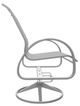 Telescope Casual Aruba Abalone/Graphite Aluminum/Fabric Outdoor Sling Swivel Rocker-2