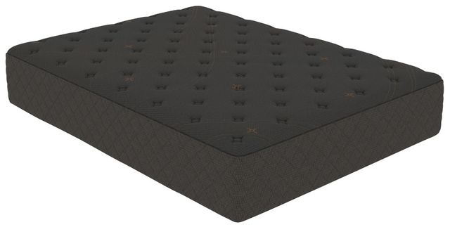 Tommie Copper® Pro-Grade Znergy® 14" Hybrid Plush Tight Top Twin XL Mattress in a Box-0