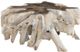 Classic Home Cypress Natural White Wash Root Coffee Table-1