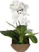 Uttermost® Transcend Antique Brass Orchid Centerpiece-3