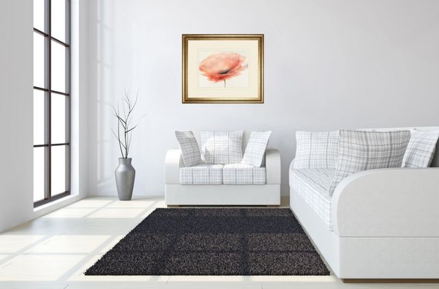 Classy Living Prior J.P. Chiffon Poppy Wall Art-1