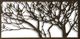 Stylecraft Metal Laser Cut Tree Brown/White Wall Art-1