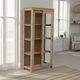 Nest Home Collections Ledger Brushed White Tall Cabinet-1