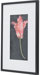 A & B Home 2-Piece Black/Pink/White Floral Wall Art-1