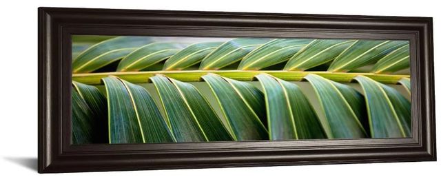 Classy Art Palma I by Susan Bryant Framed Print Wall Art-0