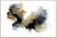 Classic Home Rorschach Black/White Painting Art-0