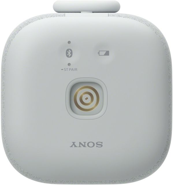 Sony® LinkBuds Light Gray Portable Wireless Speaker-4