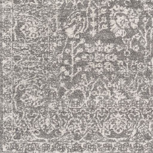 Surya Harput Gray 5'x7' Area Rug-3