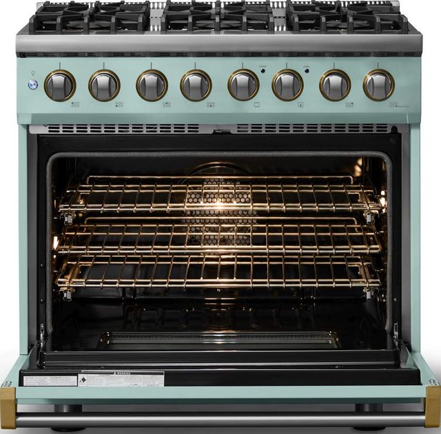 Viking® 5 Series 36" Splash Pro Style Dual Fuel (LP) Range with Brushed Brass Trim-1