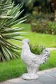 A & B Home Gray Rooster Planter-5