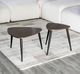 Furniture of America® Cove 2-Piece Natural Nesting Table with Black Base-1