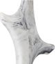 Currey & Company Devant Gray/White Table Lamp-5
