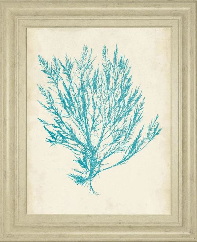 Classy Art Aquamarine Seaweed IV by Vision Studio Wall Art-0