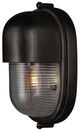 Currey & Company Maritime Black/Clear Outdoor Wall Sconce-1